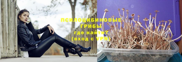не бодяженный Алексин